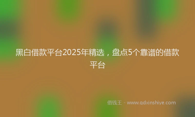 黑白借款平台2025年精选，盘点5个靠谱的借款平台
