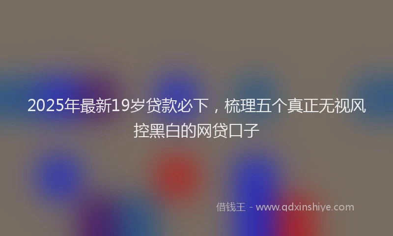 2025年最新19岁贷款必下，梳理五个真正无视风控黑白的网贷口子