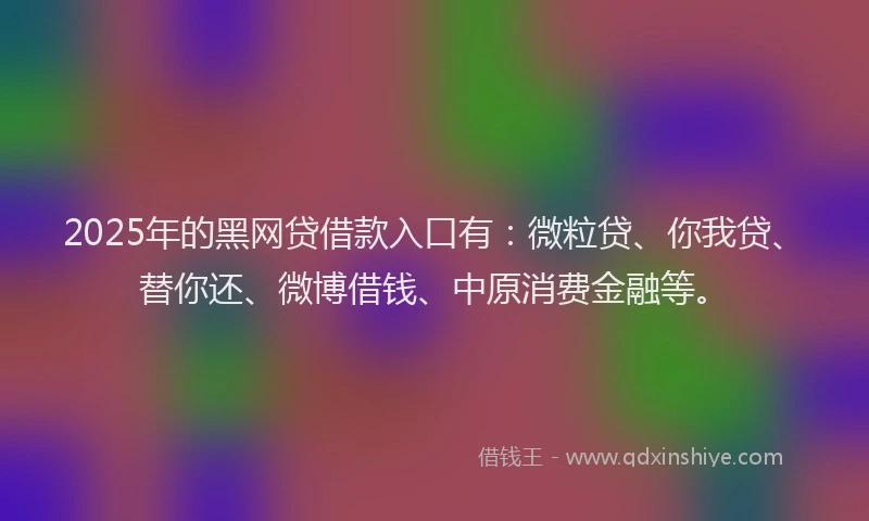 2025年的黑网贷借款入口有：微粒贷、你我贷、替你还、微博借钱、中原消费金融等。