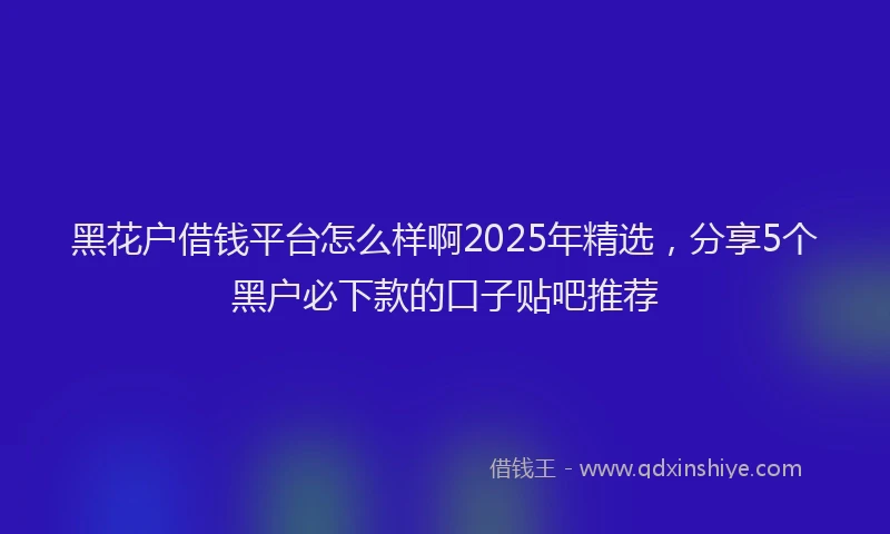 黑花户借钱平台怎么样啊2025年精选，分享5个黑户必下款的口子贴吧推荐