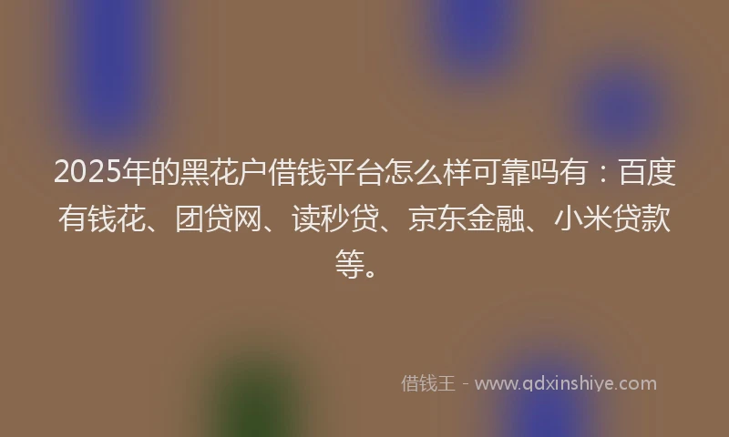 2025年的黑花户借钱平台怎么样可靠吗有：百度有钱花、团贷网、读秒贷、京东金融、小米贷款等。