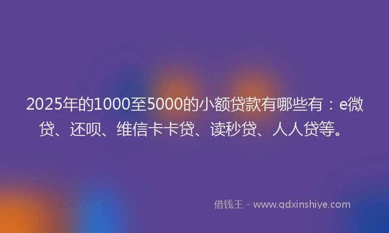 2025年的1000至5000的小额贷款有哪些有：e微贷、还呗、维信卡卡贷、读秒贷、人人贷等。