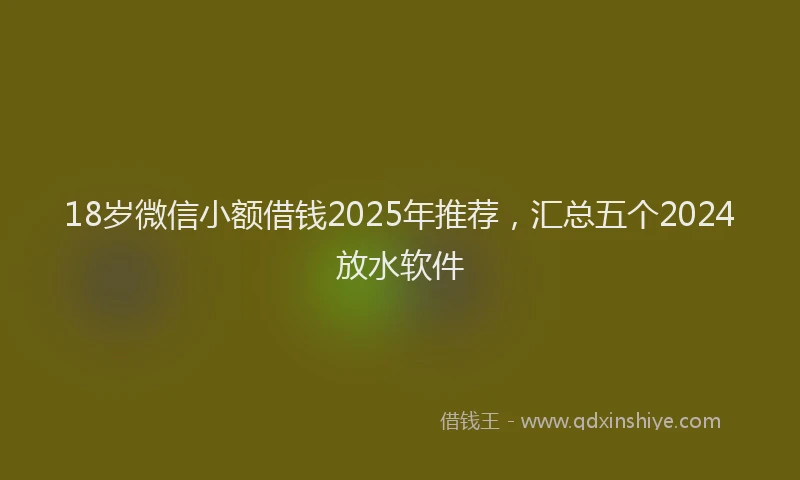18岁微信小额借钱2025年推荐，汇总五个2024放水软件