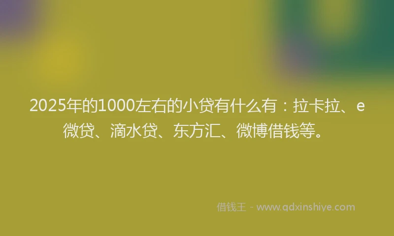 2025年的1000左右的小贷有什么有：拉卡拉、e微贷、滴水贷、东方汇、微博借钱等。
