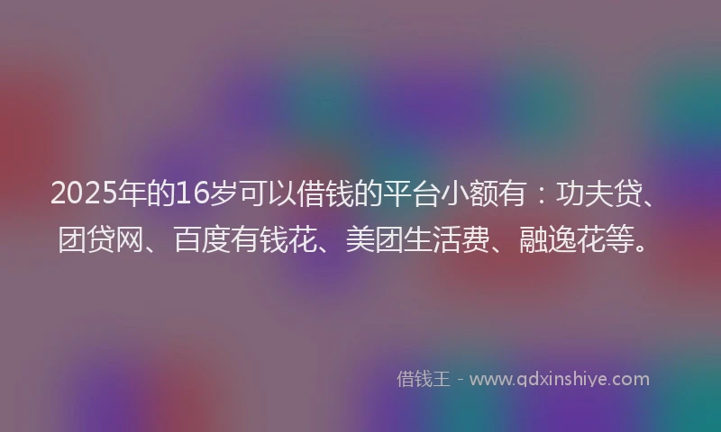 2025年的16岁可以借钱的平台小额有：功夫贷、团贷网、百度有钱花、美团生活费、融逸花等。
