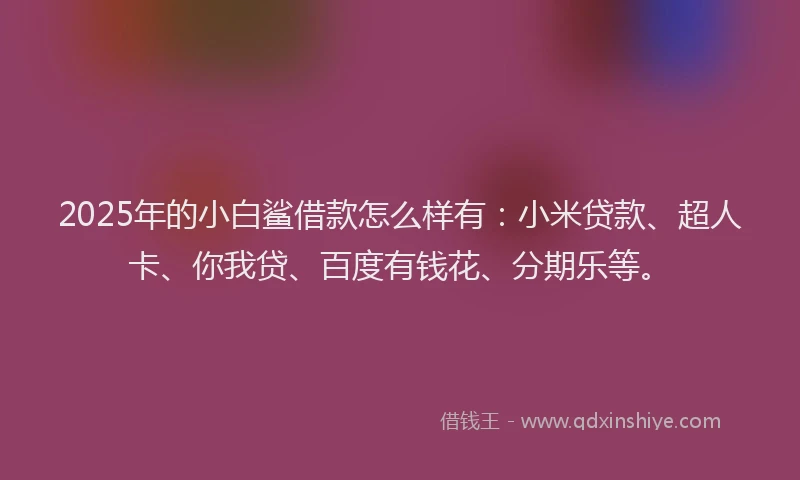 2025年的小白鲨借款怎么样有：小米贷款、超人卡、你我贷、百度有钱花、分期乐等。