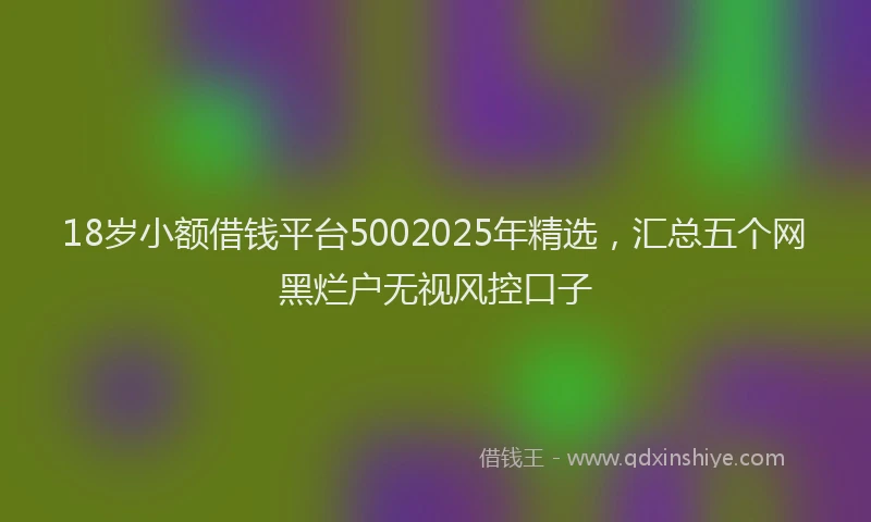 18岁小额借钱平台5002025年精选，汇总五个网黑烂户无视风控口子