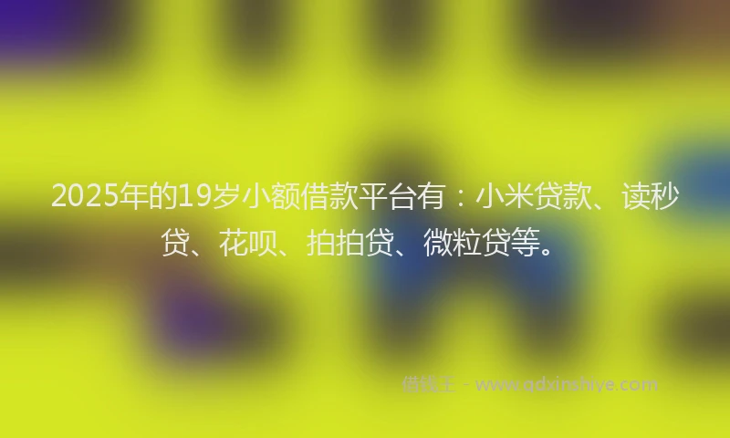 2025年的19岁小额借款平台有：小米贷款、读秒贷、花呗、拍拍贷、微粒贷等。