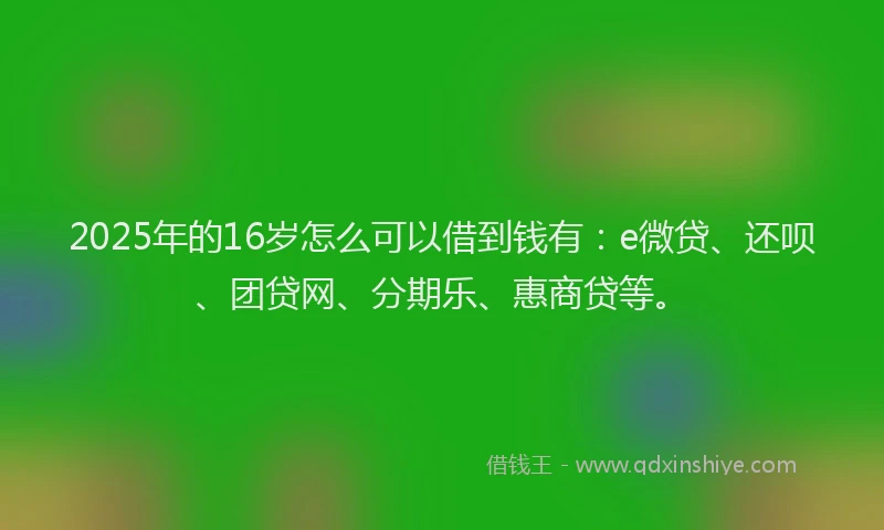 2025年的16岁怎么可以借到钱有：e微贷、还呗、团贷网、分期乐、惠商贷等。