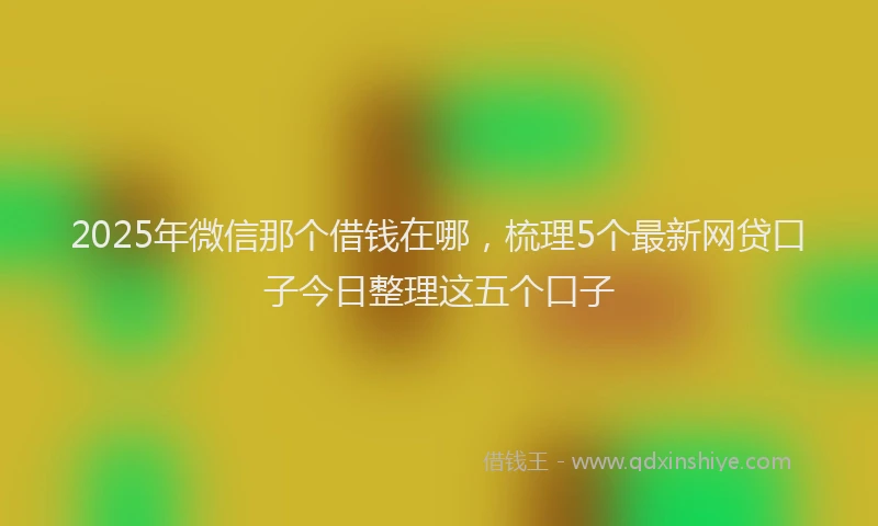 2025年微信那个借钱在哪，梳理5个最新网贷口子今日整理这五个口子