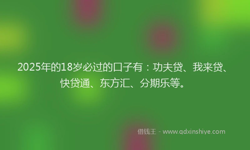 2025年的18岁必过的口子有：功夫贷、我来贷、快贷通、东方汇、分期乐等。