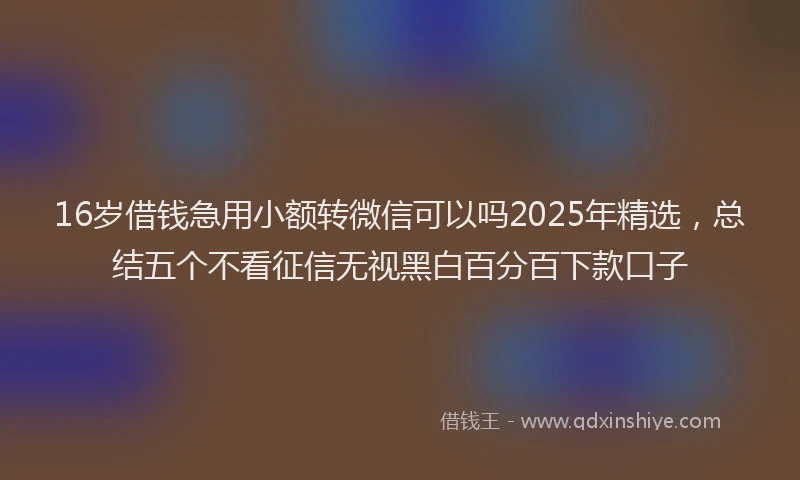 16岁借钱急用小额转微信可以吗2025年精选，总结五个不看征信无视黑白百分百下款口子