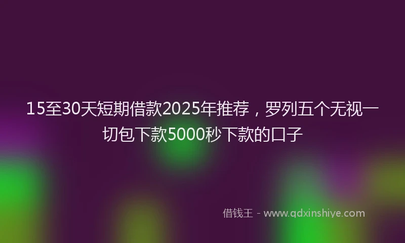 15至30天短期借款2025年推荐，罗列五个无视一切包下款5000秒下款的口子