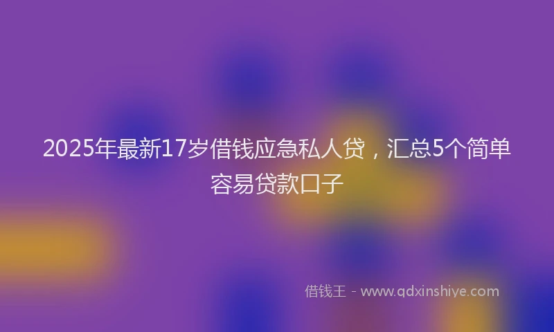 2025年最新17岁借钱应急私人贷，汇总5个简单容易贷款口子