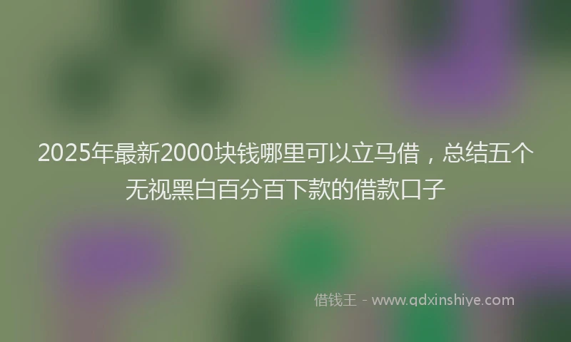 2025年最新2000块钱哪里可以立马借，总结五个无视黑白百分百下款的借款口子