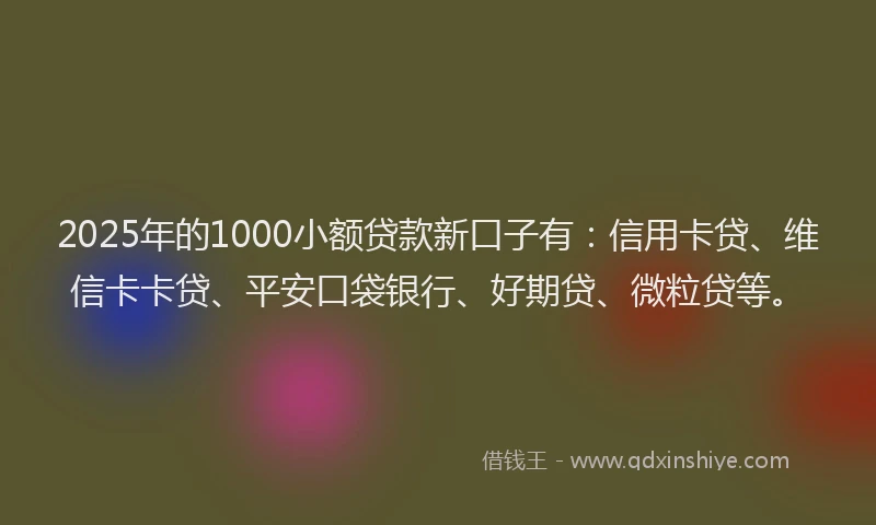 2025年的1000小额贷款新口子有：信用卡贷、维信卡卡贷、平安口袋银行、好期贷、微粒贷等。