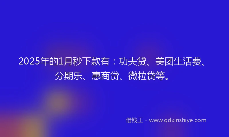 2025年的1月秒下款有：功夫贷、美团生活费、分期乐、惠商贷、微粒贷等。
