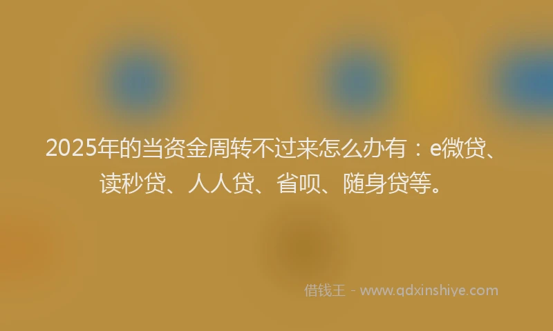 2025年的当资金周转不过来怎么办有：e微贷、读秒贷、人人贷、省呗、随身贷等。