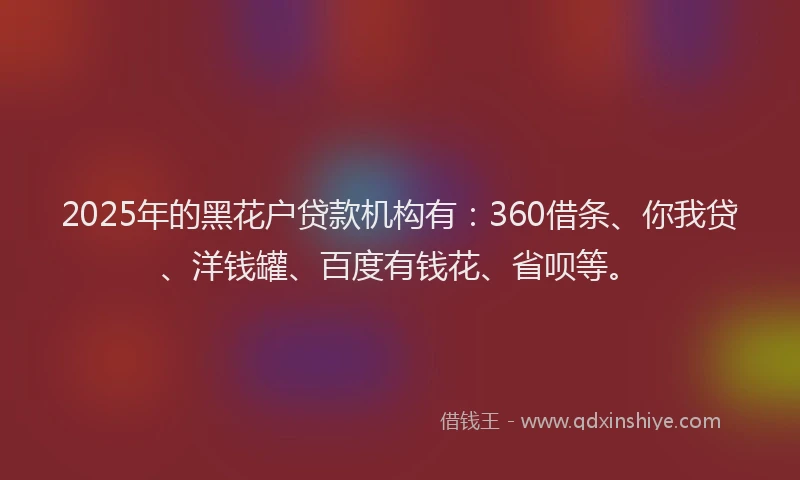 2025年的黑花户贷款机构有：360借条、你我贷、洋钱罐、百度有钱花、省呗等。