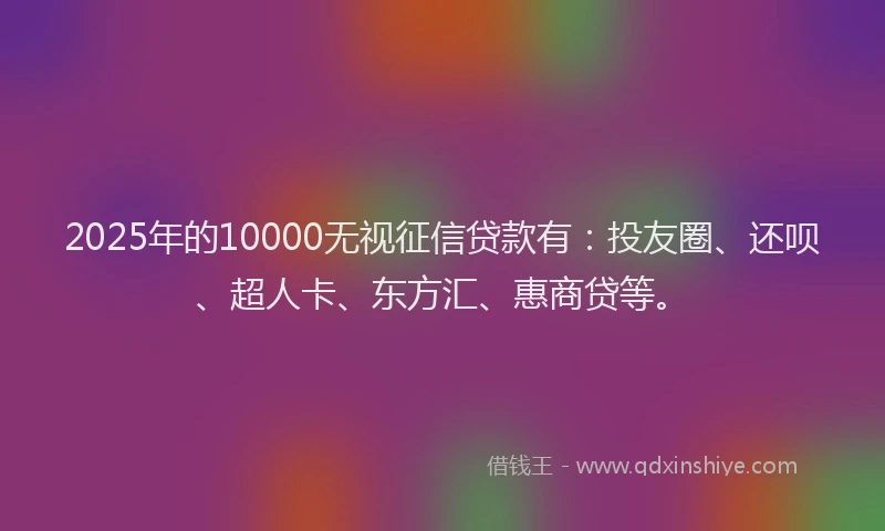2025年的10000无视征信贷款有：投友圈、还呗、超人卡、东方汇、惠商贷等。