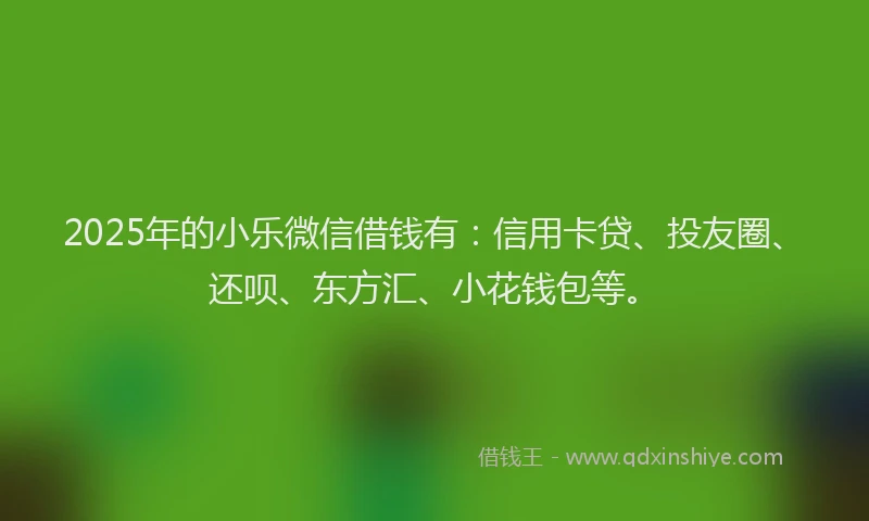 2025年的小乐微信借钱有：信用卡贷、投友圈、还呗、东方汇、小花钱包等。