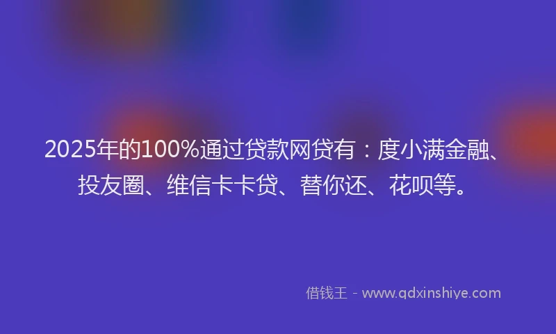 2025年的100%通过贷款网贷有：度小满金融、投友圈、维信卡卡贷、替你还、花呗等。
