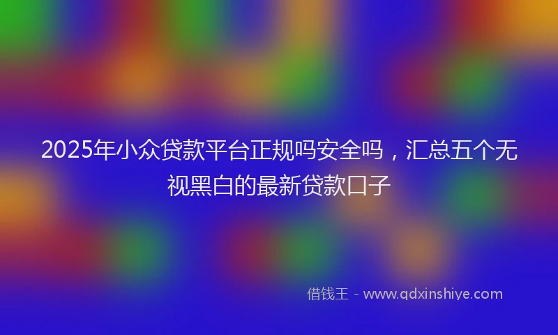 2025年小众贷款平台正规吗安全吗，汇总五个无视黑白的最新贷款口子