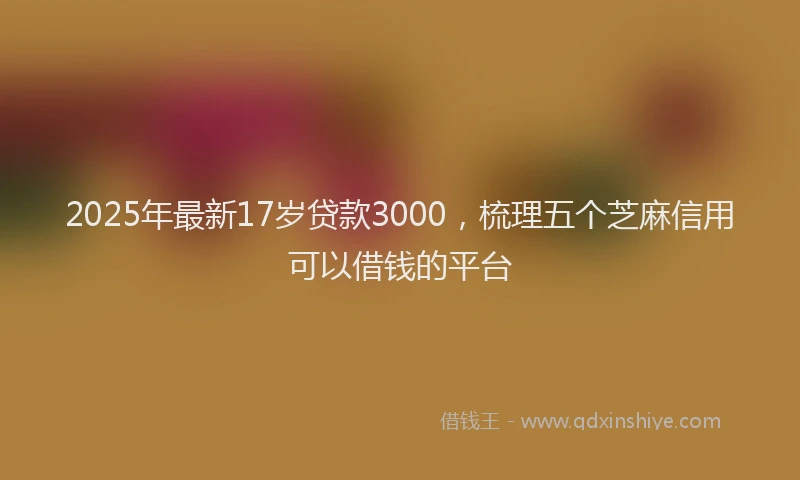 2025年最新17岁贷款3000，梳理五个芝麻信用可以借钱的平台