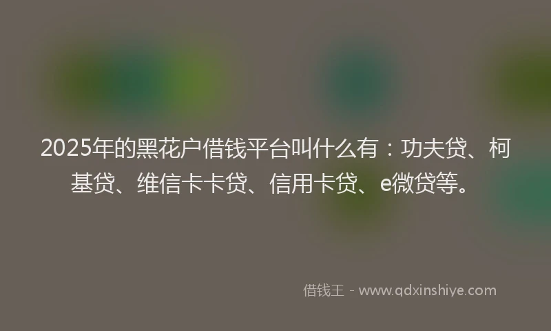 2025年的黑花户借钱平台叫什么有：功夫贷、柯基贷、维信卡卡贷、信用卡贷、e微贷等。