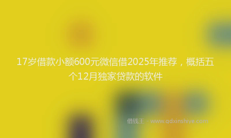 17岁借款小额600元微信借2025年推荐，概括五个12月独家贷款的软件