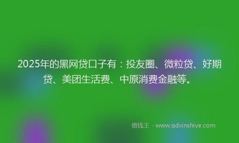 2025年的黑网贷口子有：投友圈、微粒贷、好期贷、美团生活费、中原消费金融等。