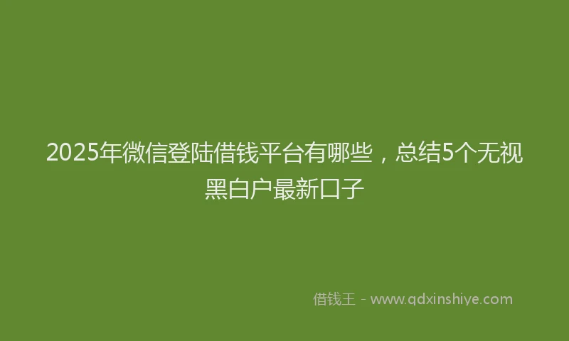 2025年微信登陆借钱平台有哪些，总结5个无视黑白户最新口子