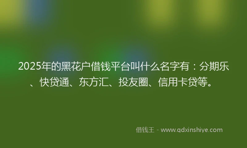 2025年的黑花户借钱平台叫什么名字有：分期乐、快贷通、东方汇、投友圈、信用卡贷等。