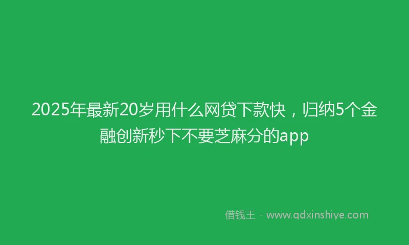 2025年最新20岁用什么网贷下款快，归纳5个金融创新秒下不要芝麻分的app