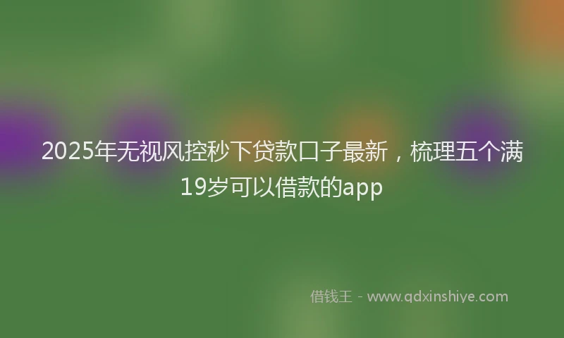 2025年无视风控秒下贷款口子最新，梳理五个满19岁可以借款的app
