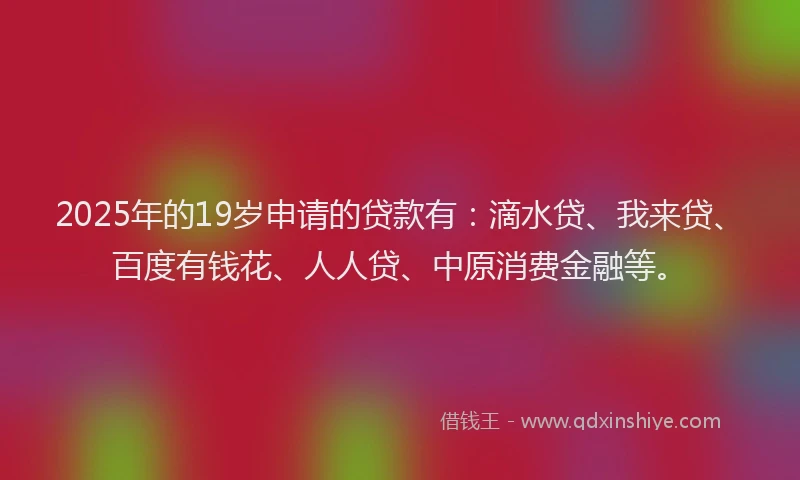 2025年的19岁申请的贷款有：滴水贷、我来贷、百度有钱花、人人贷、中原消费金融等。