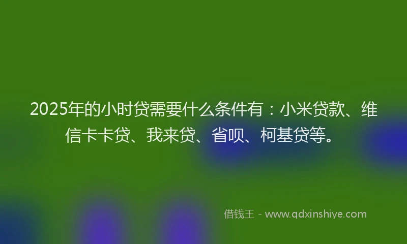 2025年的小时贷需要什么条件有：小米贷款、维信卡卡贷、我来贷、省呗、柯基贷等。