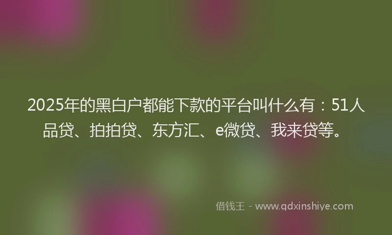 2025年的黑白户都能下款的平台叫什么有：51人品贷、拍拍贷、东方汇、e微贷、我来贷等。