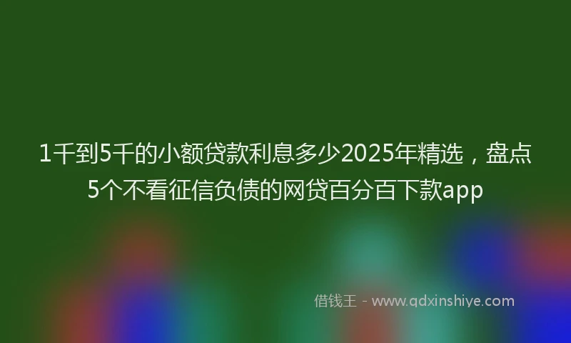 1千到5千的小额贷款利息多少2025年精选，盘点5个不看征信负债的网贷百分百下款app