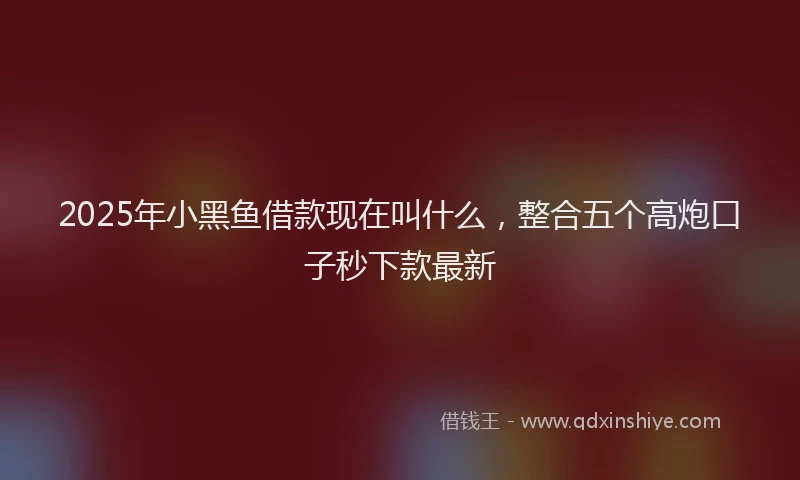 2025年小黑鱼借款现在叫什么，整合五个高炮口子秒下款最新