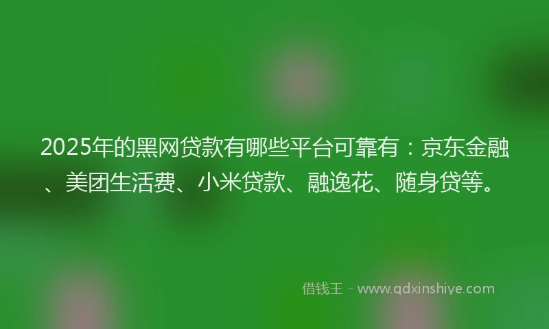 2025年的黑网贷款有哪些平台可靠有：京东金融、美团生活费、小米贷款、融逸花、随身贷等。