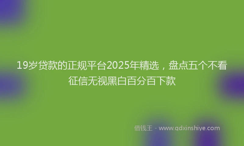 19岁贷款的正规平台2025年精选，盘点五个不看征信无视黑白百分百下款