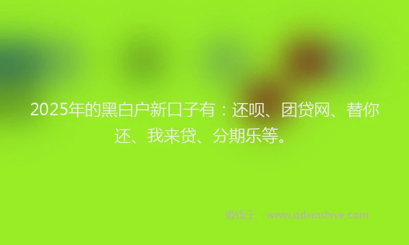 2025年的黑白户新口子有：还呗、团贷网、替你还、我来贷、分期乐等。
