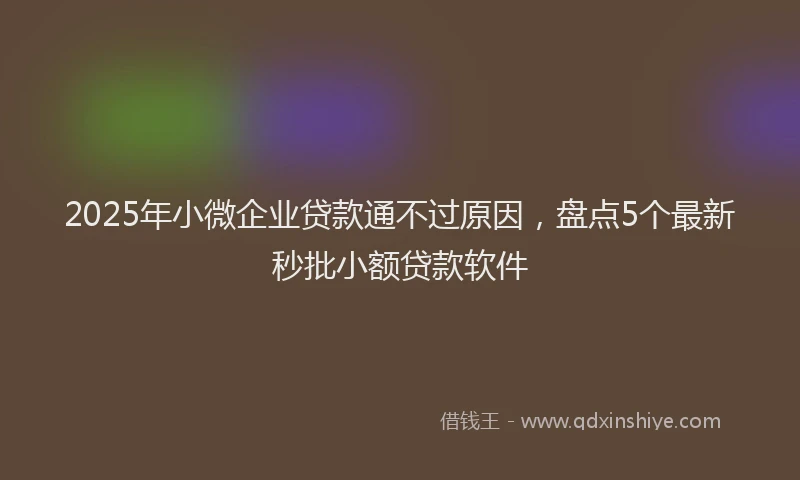 2025年小微企业贷款通不过原因，盘点5个最新秒批小额贷款软件