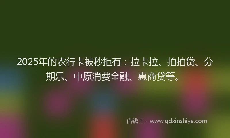 2025年的农行卡被秒拒有：拉卡拉、拍拍贷、分期乐、中原消费金融、惠商贷等。