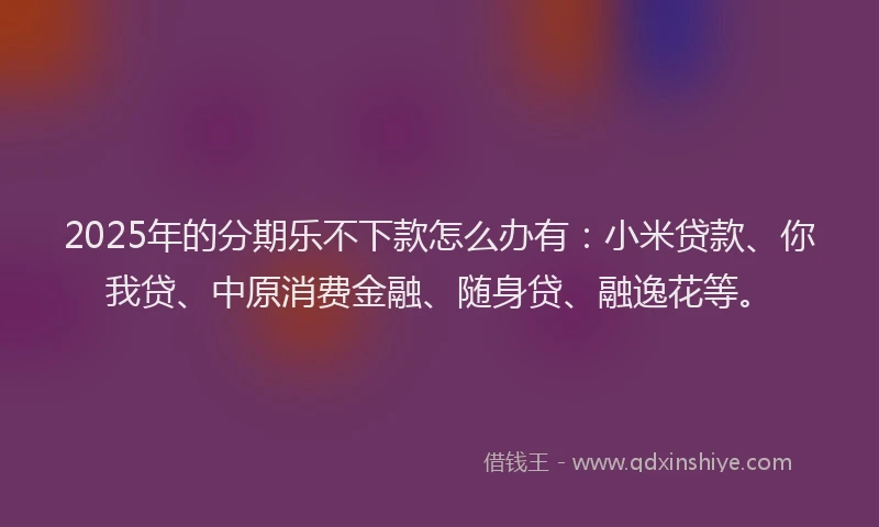 2025年的分期乐不下款怎么办有：小米贷款、你我贷、中原消费金融、随身贷、融逸花等。