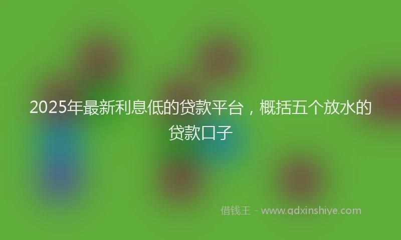 2025年最新利息低的贷款平台，概括五个放水的贷款口子