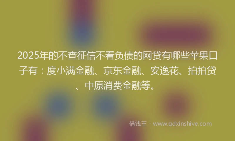 2025年的不查征信不看负债的网贷有哪些苹果口子有：度小满金融、京东金融、安逸花、拍拍贷、中原消费金融等。