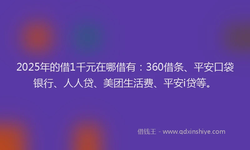 2025年的借1千元在哪借有：360借条、平安口袋银行、人人贷、美团生活费、平安i贷等。