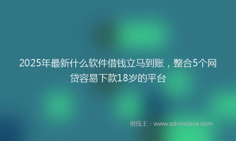 2025年最新什么软件借钱立马到账，整合5个网贷容易下款18岁的平台